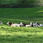 Calme, Vue, Espace Et Privatif Soulan (Hautes-Pyrenees)